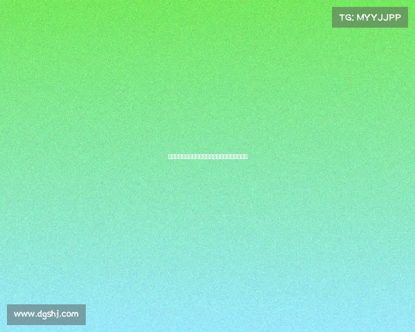 阿雅克肖:探索科西嘉岛心脏地带的历史与文化魅力 阿雅克肖:探索科西嘉岛心脏地带的历史与文化魅力